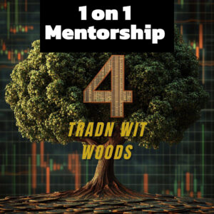 1 v 1 mentorship (Exclusive Training)